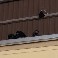 �����������������C���[�W